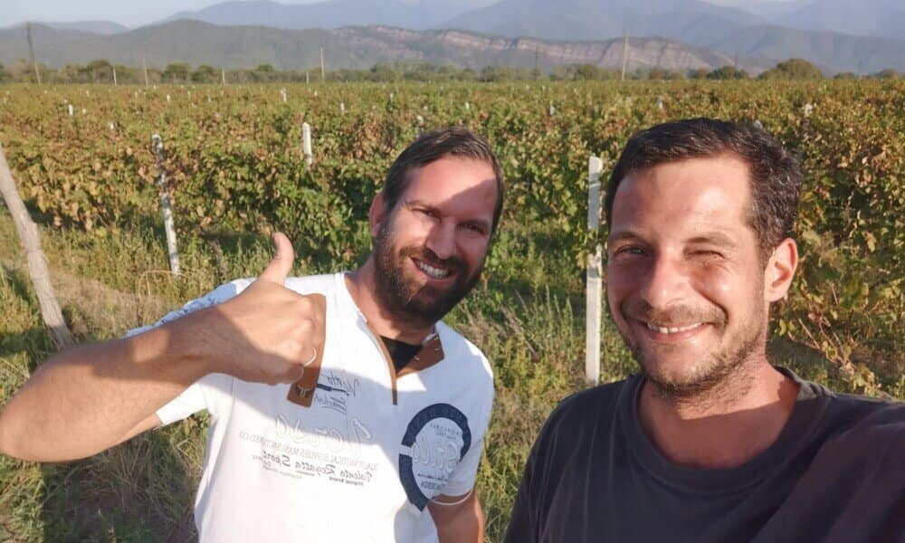 Visit to an organic vineyard in Kakheti, Georgia, with a winemaker.