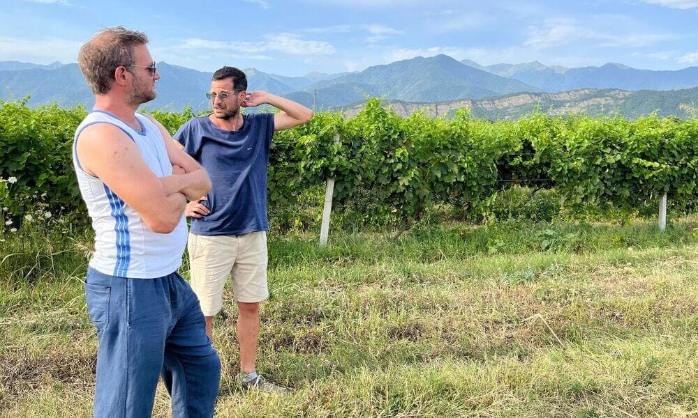 Tourists visiting an organic vineyard in Georgia
